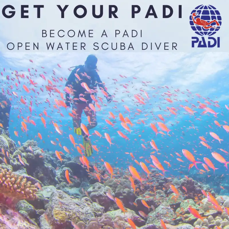 PADI Open Water Diver Course