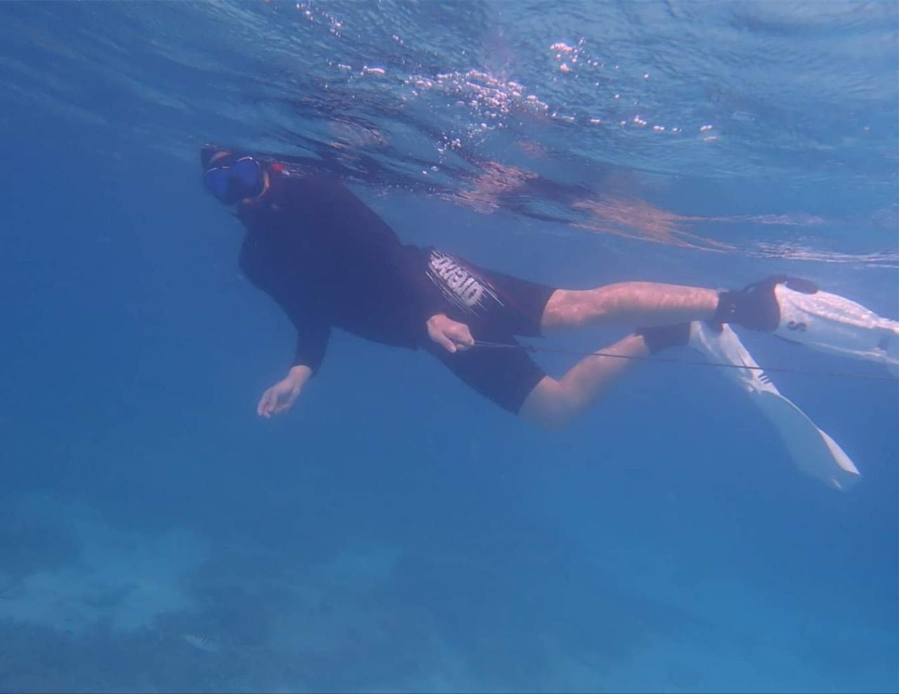 tioman snorkeling