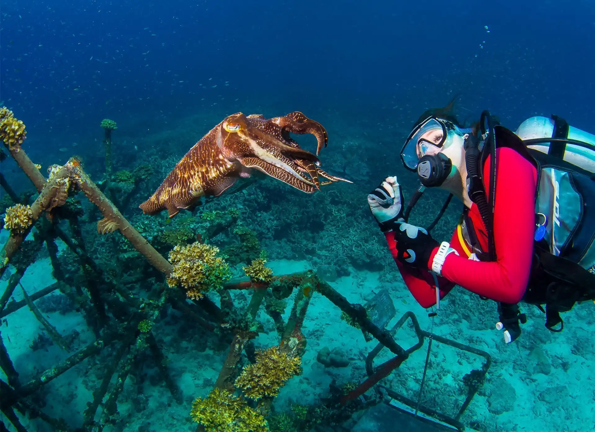 Tioman Open Water Diver Course