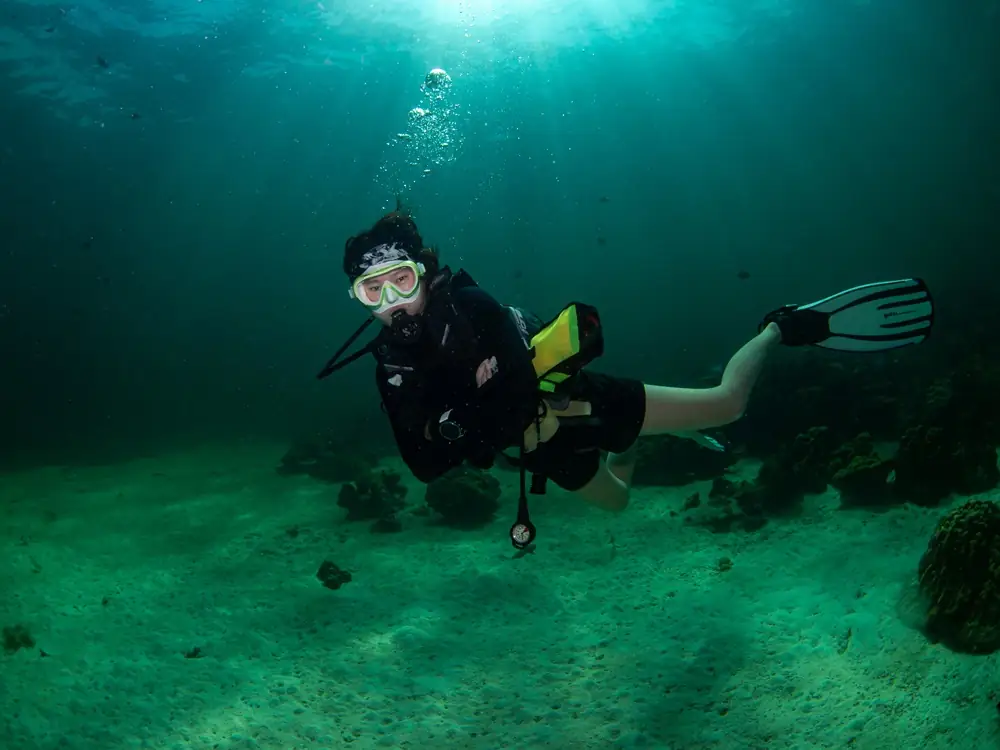 Affordable Scuba Diving Certification Courses Near Me